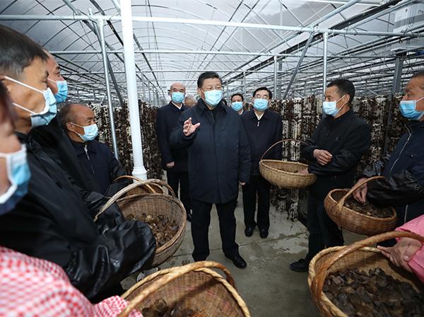 习近平总书记考察九游会J9官方网站援建的金米村智能连栋木耳大棚
